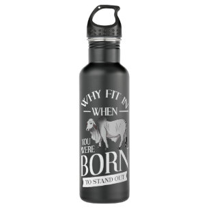 Brahman Bull Cattle Mini Zebu Cow Premium 710 Ml Water Bottle