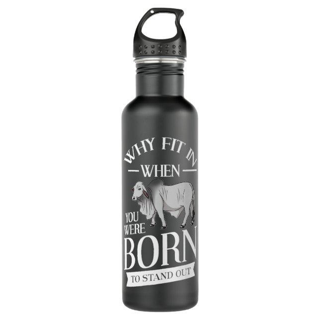 Brahman Bull Cattle Mini Zebu Cow Premium 710 Ml Water Bottle (Front)