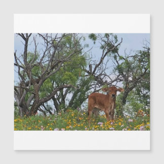 Brahman Calf in Wildflowers