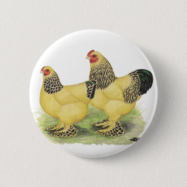 Brahmas:  Buff Bantams 2 Inch Round Button (Front)