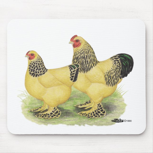 Brahmas:  Buff Bantams Mouse Pad (Front)