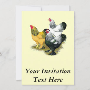 Brahmas Three Roosters Invitation
