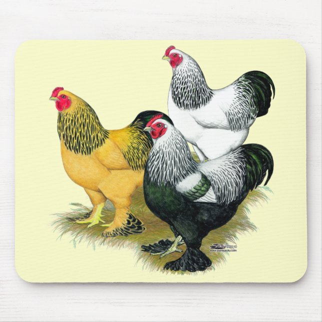 Brahmas Three Roosters Mouse Pad (Front)
