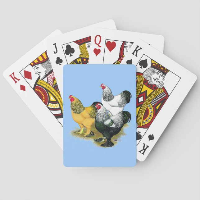 Brahmas Three Roosters Playing Cards (Back)