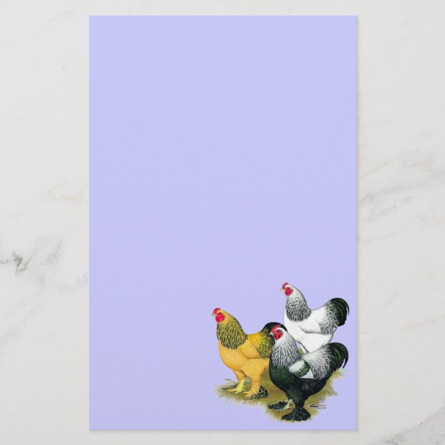 Brahmas Three Roosters Stationery (Front)