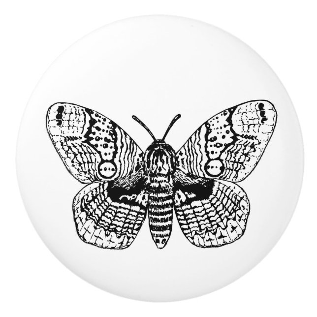 Brahmin moth drawing ceramic knob (Front)