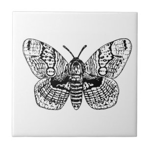 Brahmin moth drawing tile