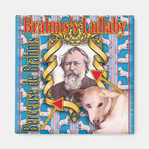 BRAHMS MAGNET