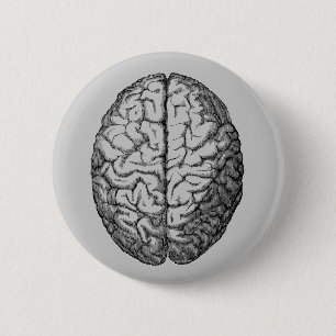 Brain 2 Inch Round Button