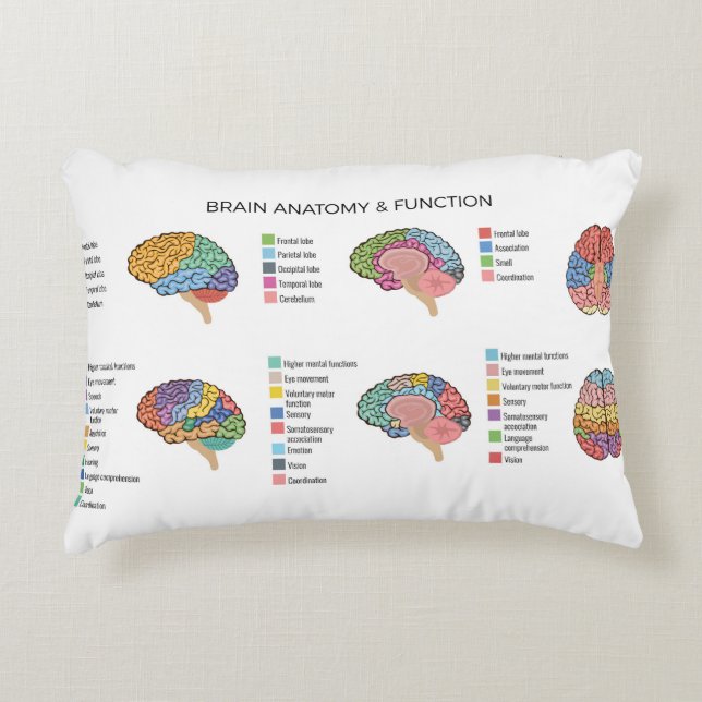 Brain Anatomy Accent Pillow (Front)