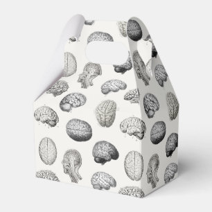 Brain Anatomy Biology Illustrations Favor Box
