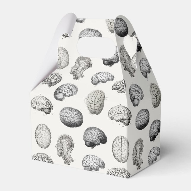Brain Anatomy Biology Illustrations Favor Box (Front Side)