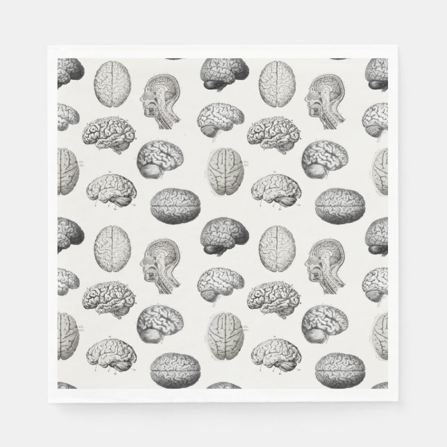Brain Anatomy Biology Illustrations Napkin (Front)