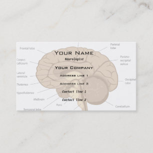 Brain anatomy neurologist Business Card