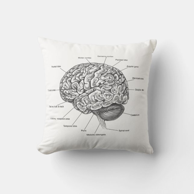 Brain Anatomy Throw Pillow (Front)