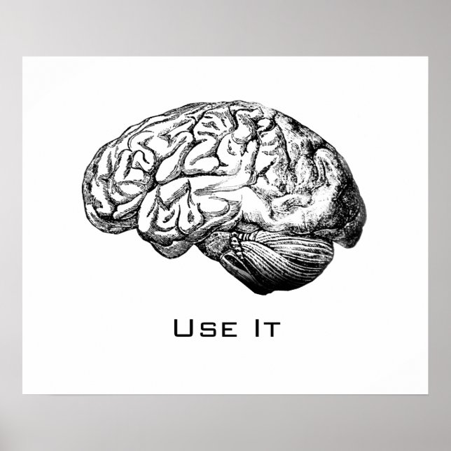 Brain Anatomy - Use It Poster (Front)