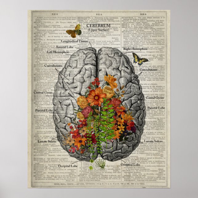 Brain Anatomy with Butterflies and Flowers Poster (Front)