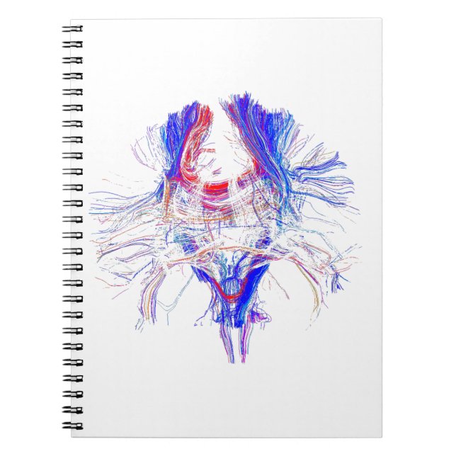 Brain and Tracktography Notebook (Front)