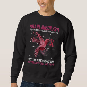 Brain Aneurysm Is A Journey I Never Planned Or Ask Sweatshirt