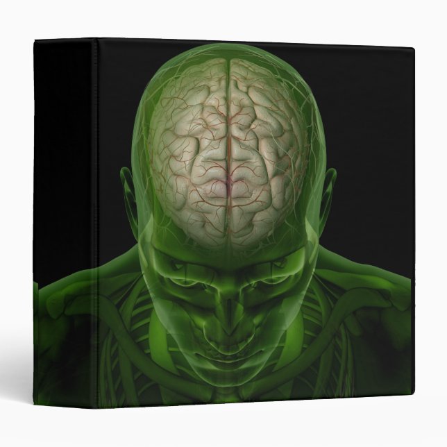 Brain Arteries Binder (Front/Spine)