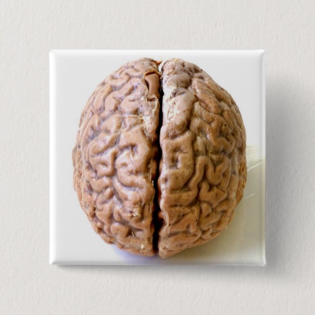 brain button (Front)