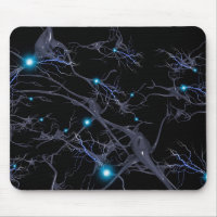 Brain cells. neurons
