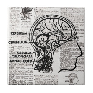 Brain Dictionary Art Tile