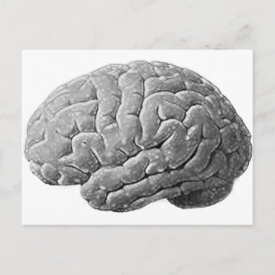 Brain Gifts Postcard