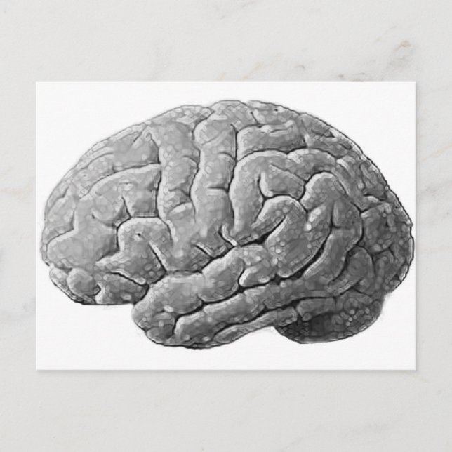 Brain Gifts Postcard (Front)