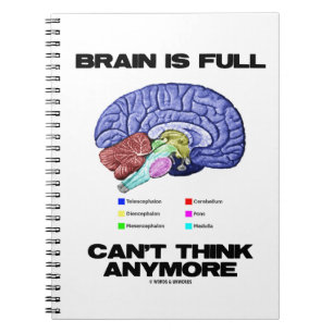 Brain Is Full Can't Think Anymore (Brain Anatomy) Notebook