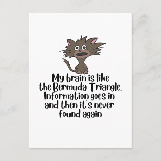 Brain like Bermuda Funny Crazy Cat Expression Postcard (Front)