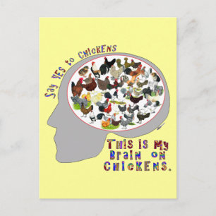 Brain On Chickens Postcard