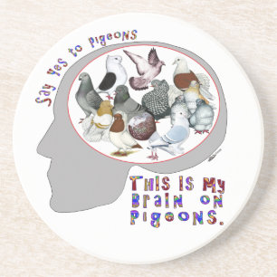 Brain On Pigeons Coaster