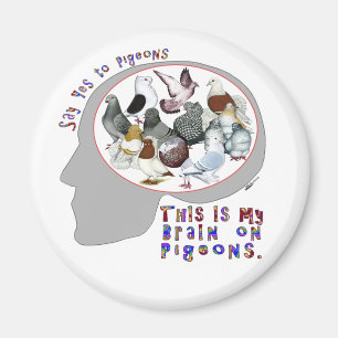 Brain On Pigeons Magnet