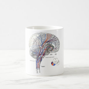 Brain Pathways Mug