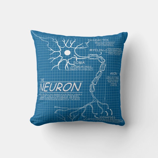 brain pillow (Front)