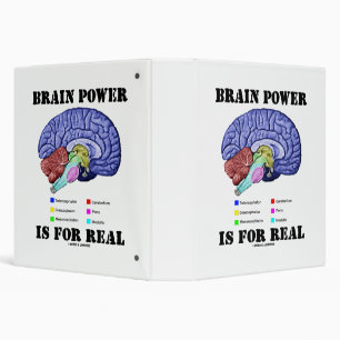 Brain Power Is For Real Brain Anatomy Attitude Binder