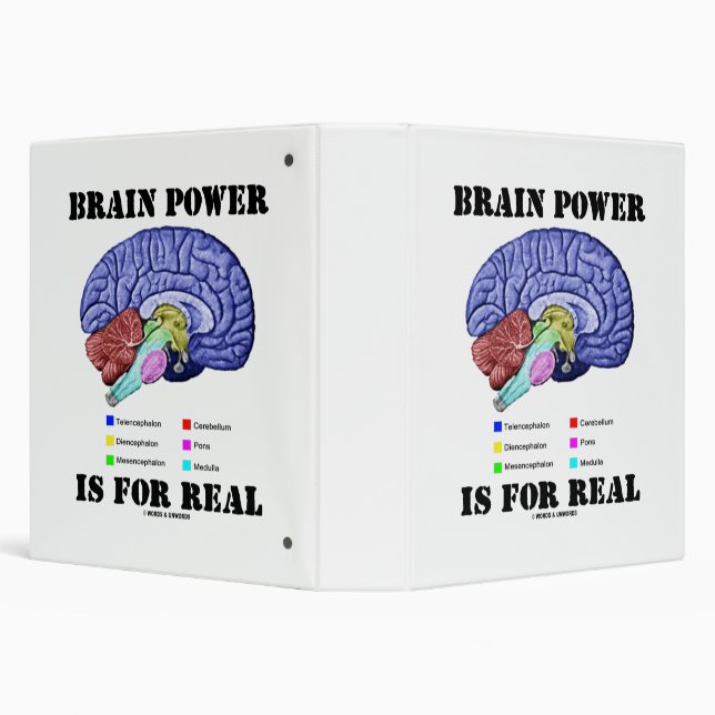 Brain Power Is For Real Brain Anatomy Attitude Binder (Background)