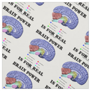 Brain Power Is For Real Brain Anatomy Attitude Fabric