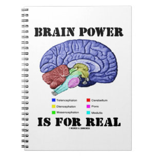 Brain Power Is For Real Brain Anatomy Attitude Notebook