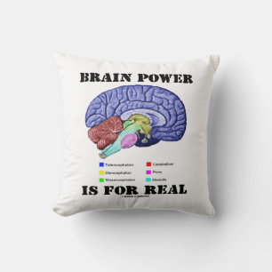 Brain Power Is For Real Brain Anatomy Attitude Throw Pillow