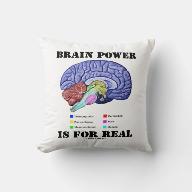 Brain Power Is For Real Brain Anatomy Attitude Throw Pillow (Front)