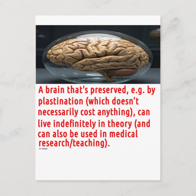 Brain Preservation Message (spheroid) Postcard (Front)