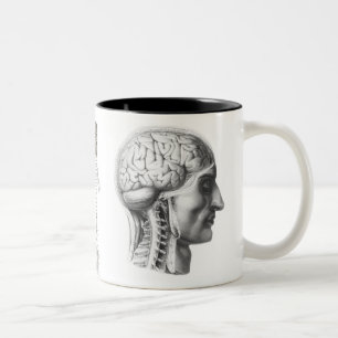 brain revealed Two-Tone coffee mug