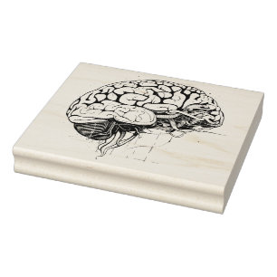 Brain Rubber Stamp