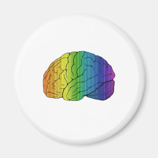 Brainbow Magnet