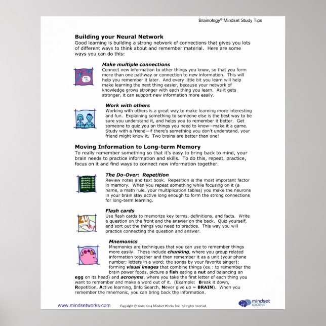 Brainology® Poster 6: Building Your Neural Network (Front)