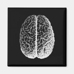Brains! Magnet