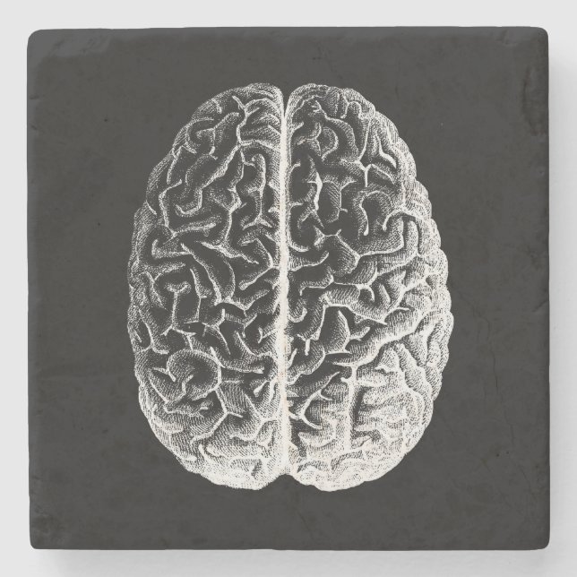 Brains! Stone Coaster (Front)