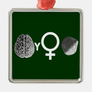 Brainy Girls Rock! Metal Ornament